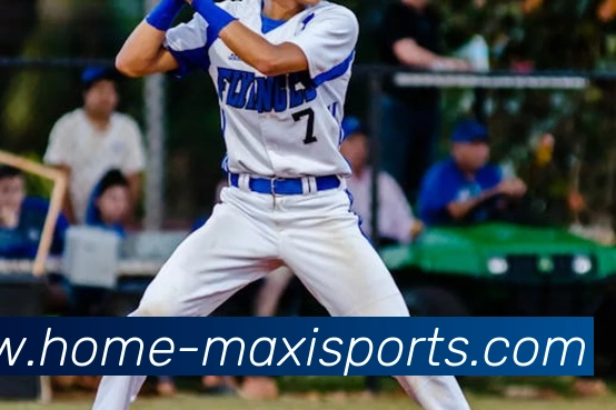 球赛投注平台生态图